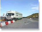 weigh bridge